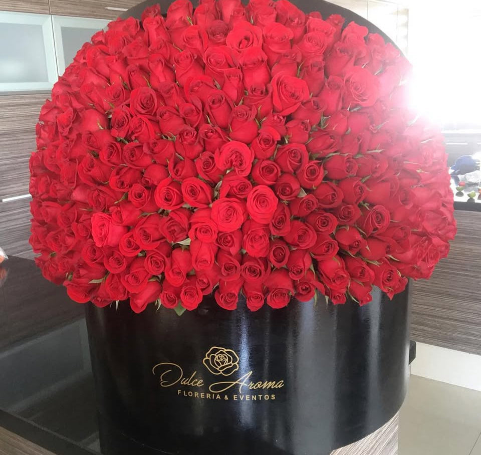 Caja Circular 500 Rosas SV