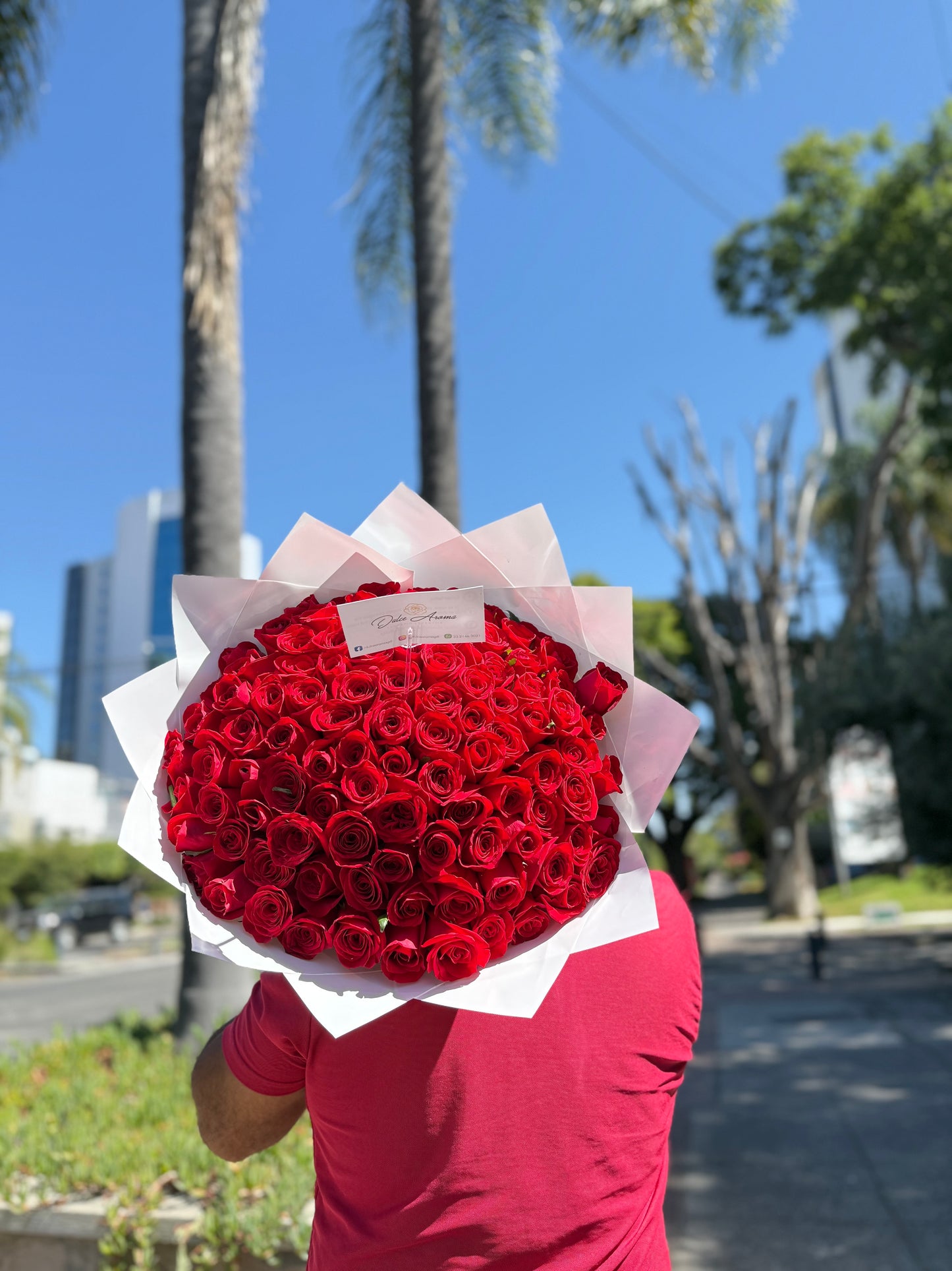 Promoción 100 Rosas Rojas