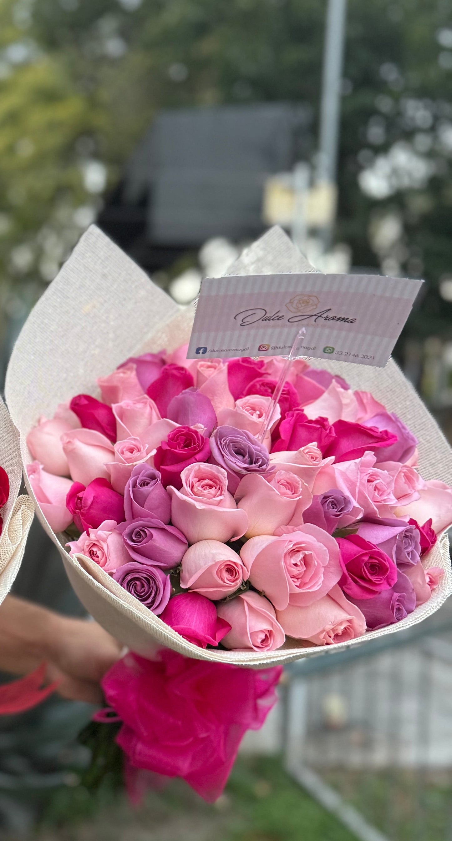 Promoción 50 rosas rositas