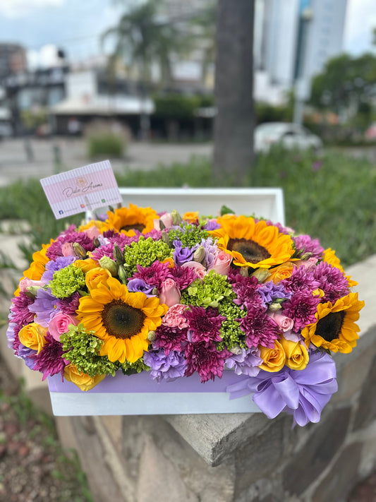 Cofre Roxana Girasol