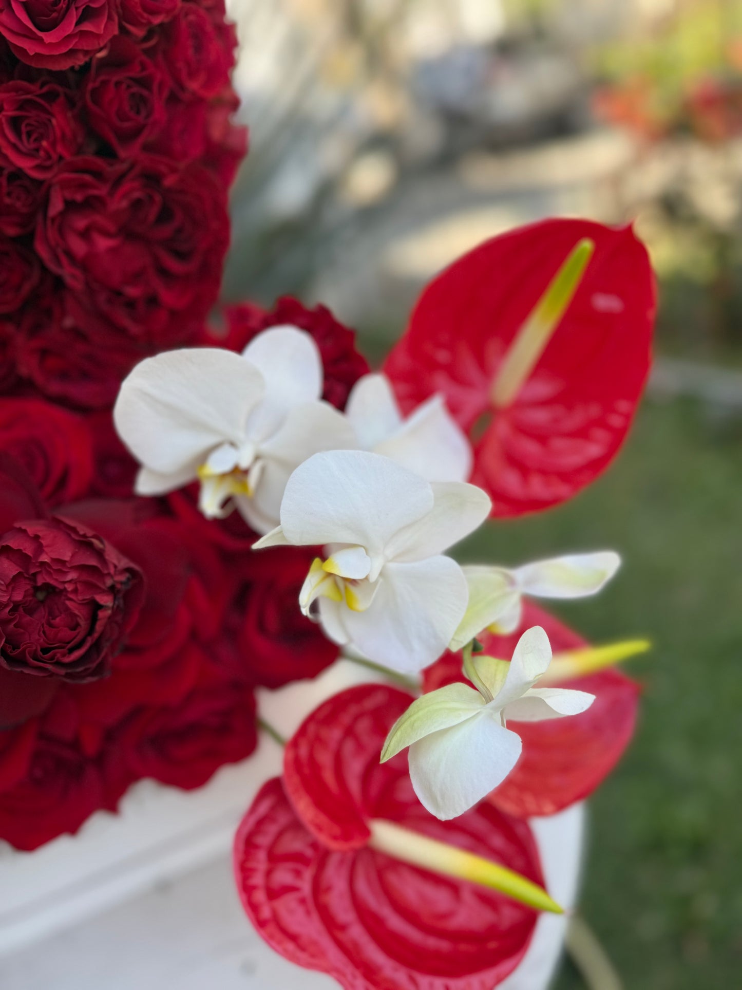 Diseño Corazón Deluxe