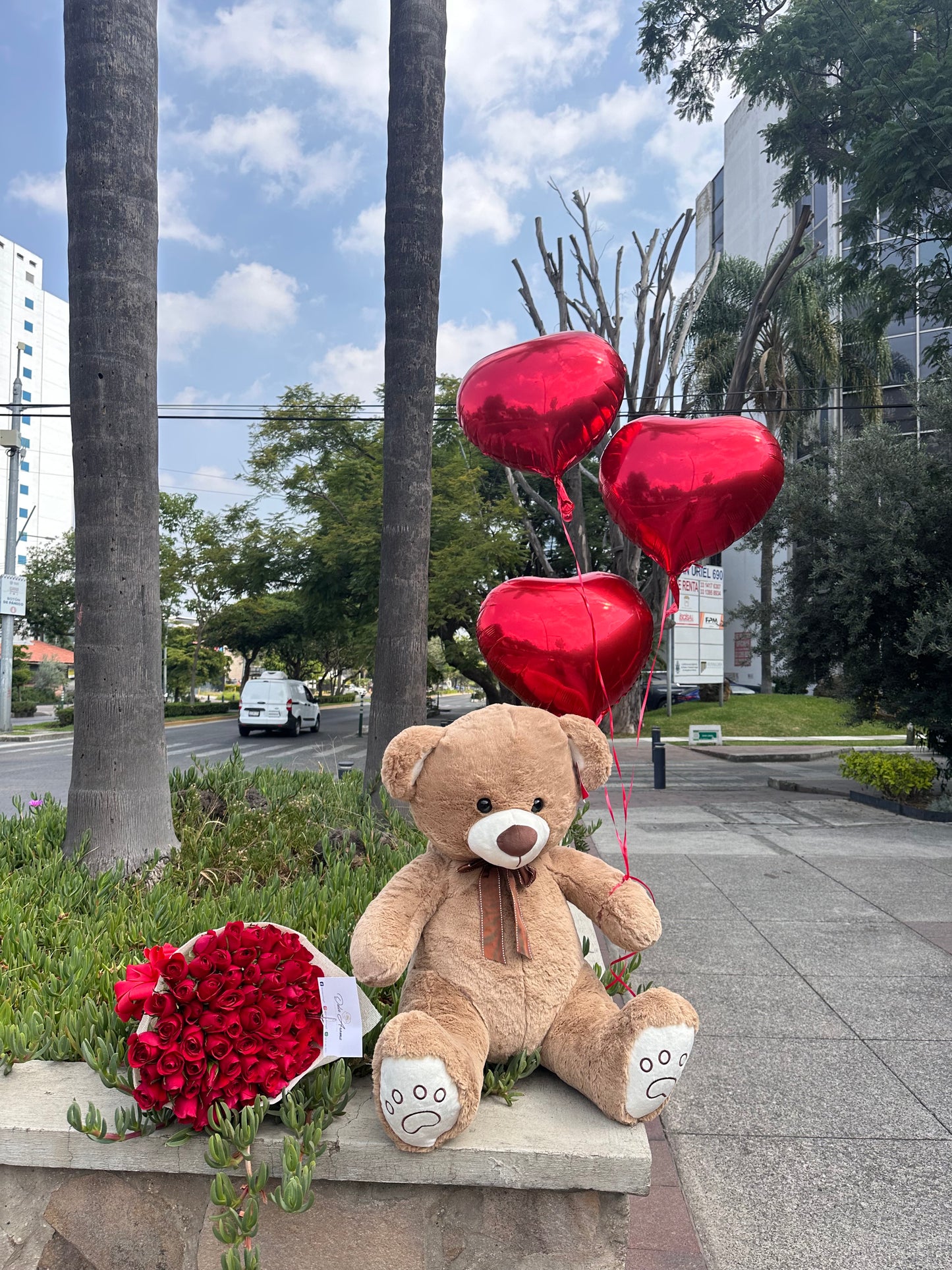 Paquete Amor