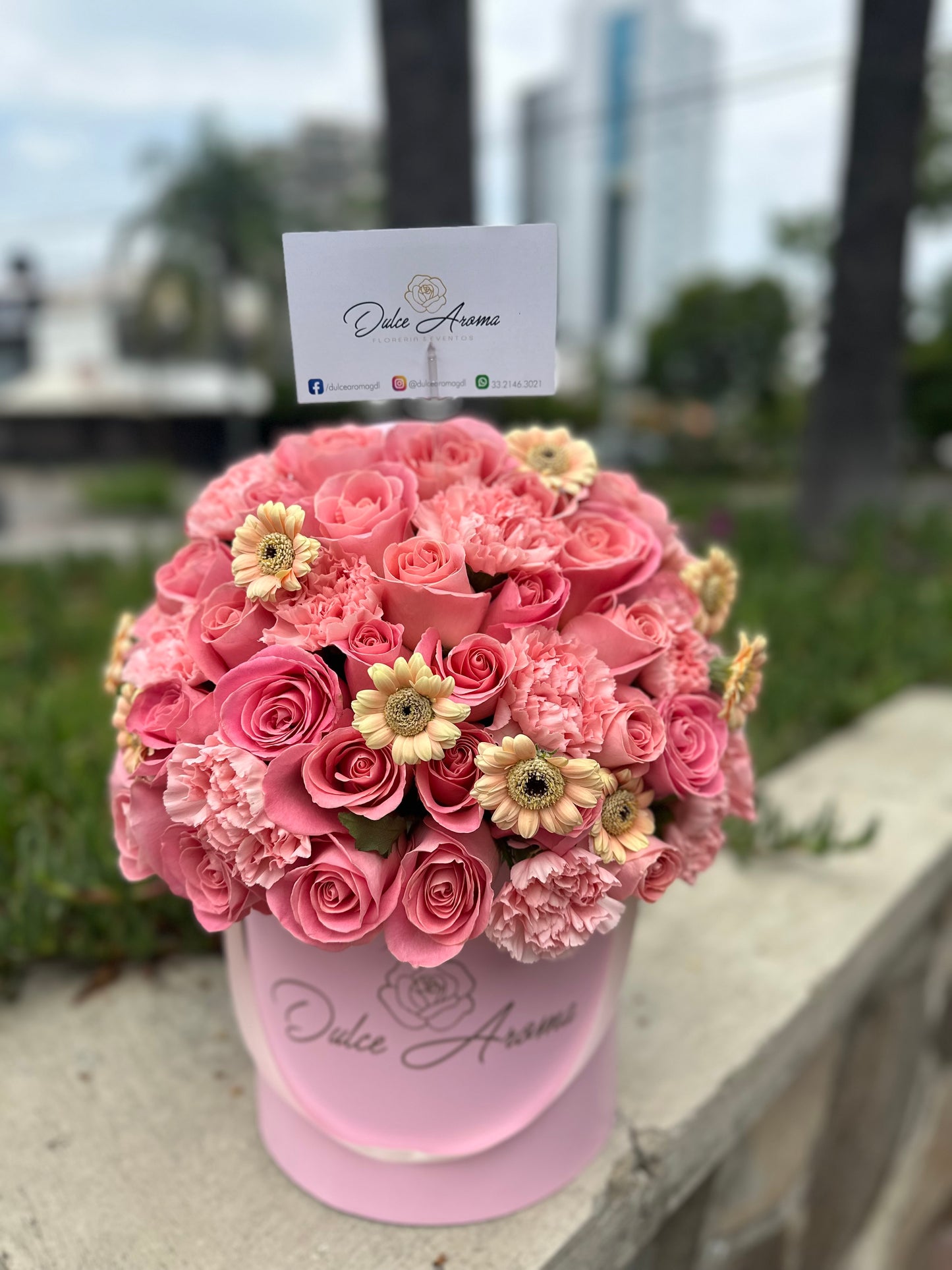 Cilindro Pink Rose SV