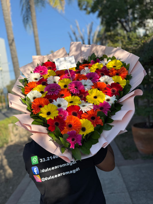 Ramo 50 gerberas