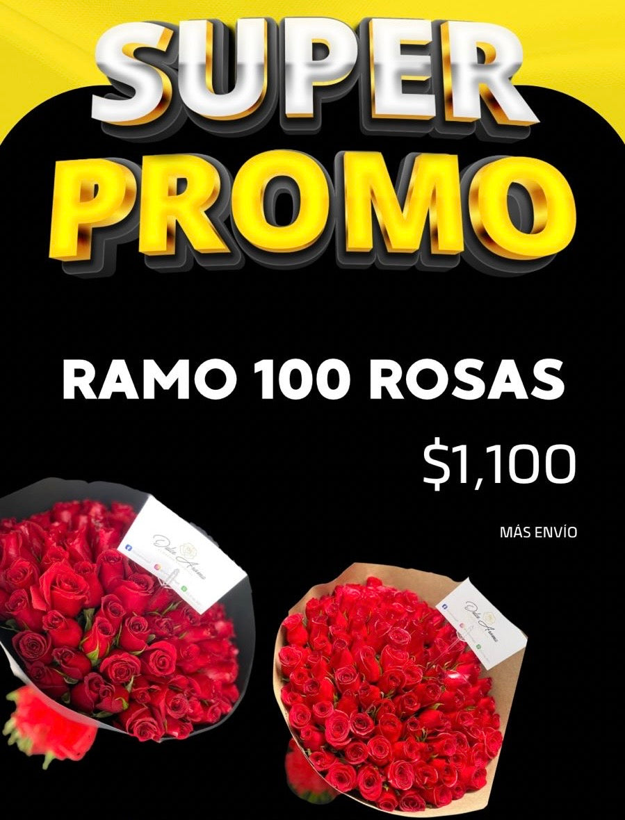 Promoción Especial