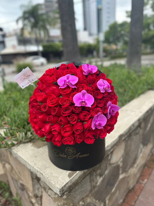 Caja Circular Media Esfera Red