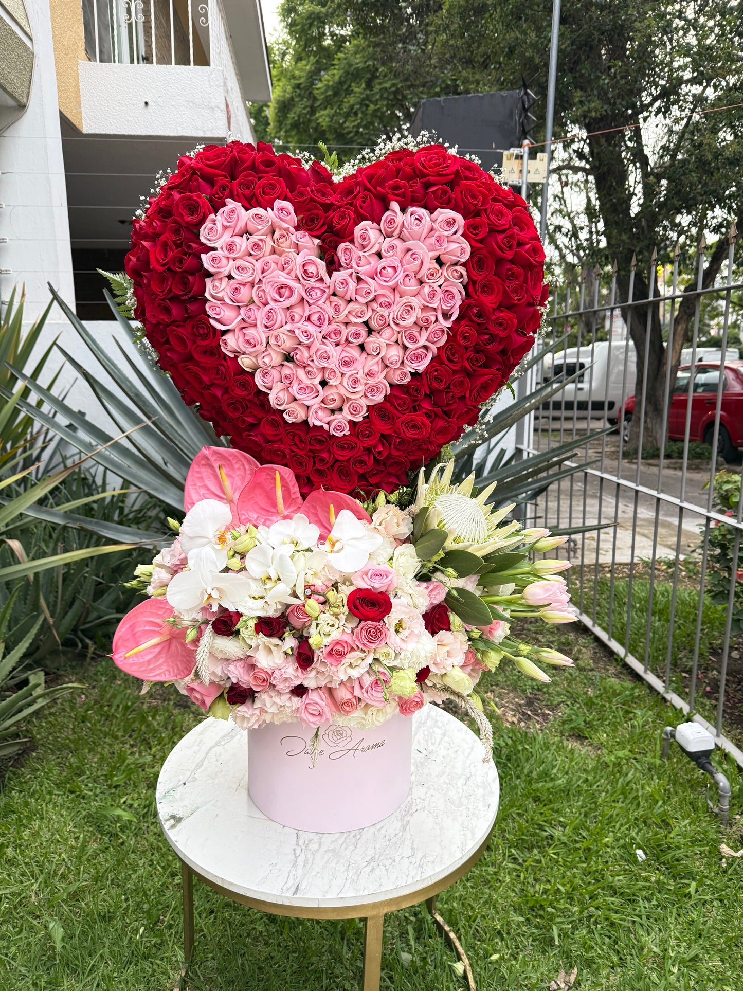 Diseño corazón imperial