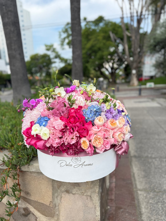 Caja Circular Inglesa