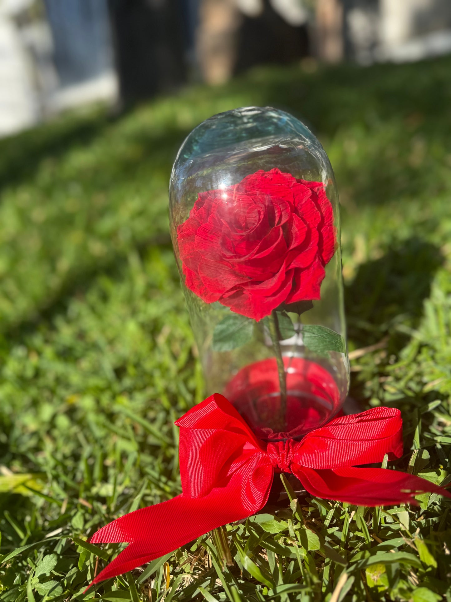 Rosa Eterna Roja Chica