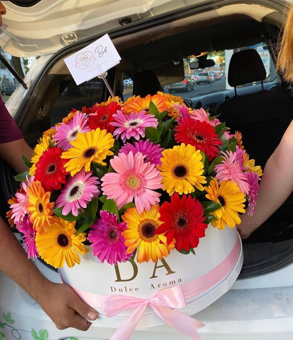 Caja Circular Gerberas Coloridas