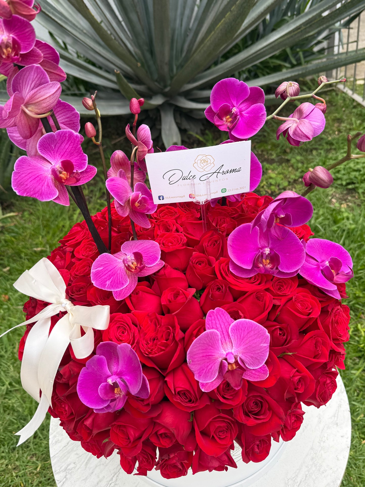 Esfera rosas y orquídeas