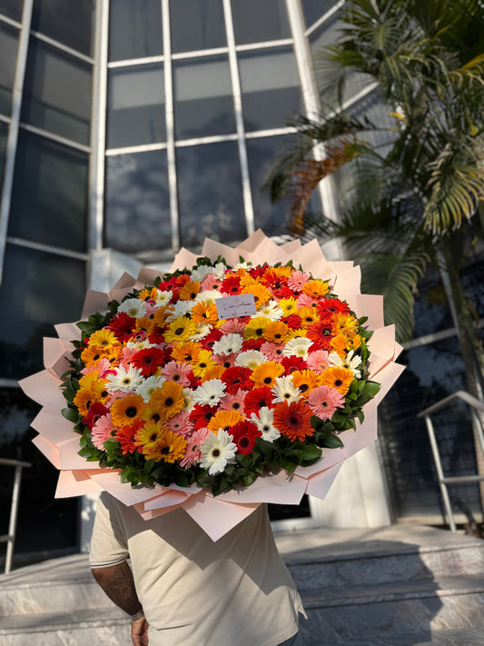 Ramo gerberas (100)