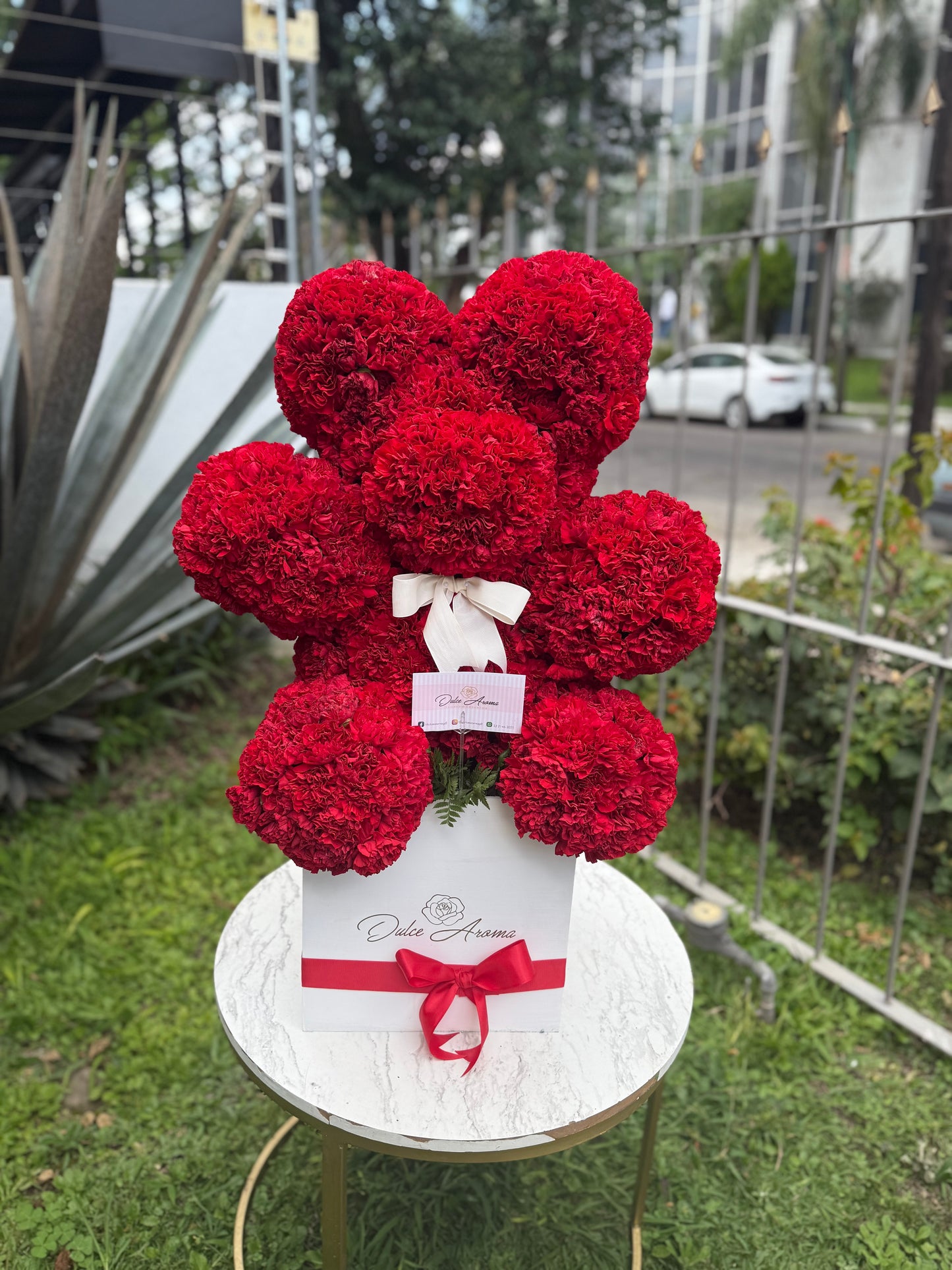 Oso Clavel Red