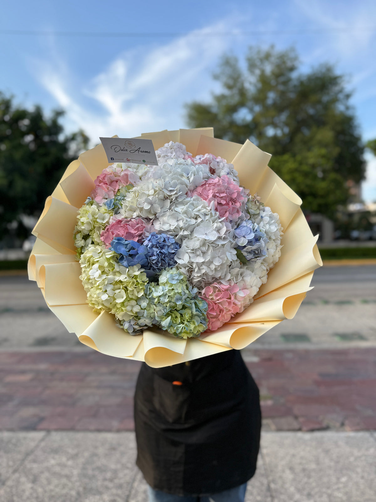 Ramo Hortensias