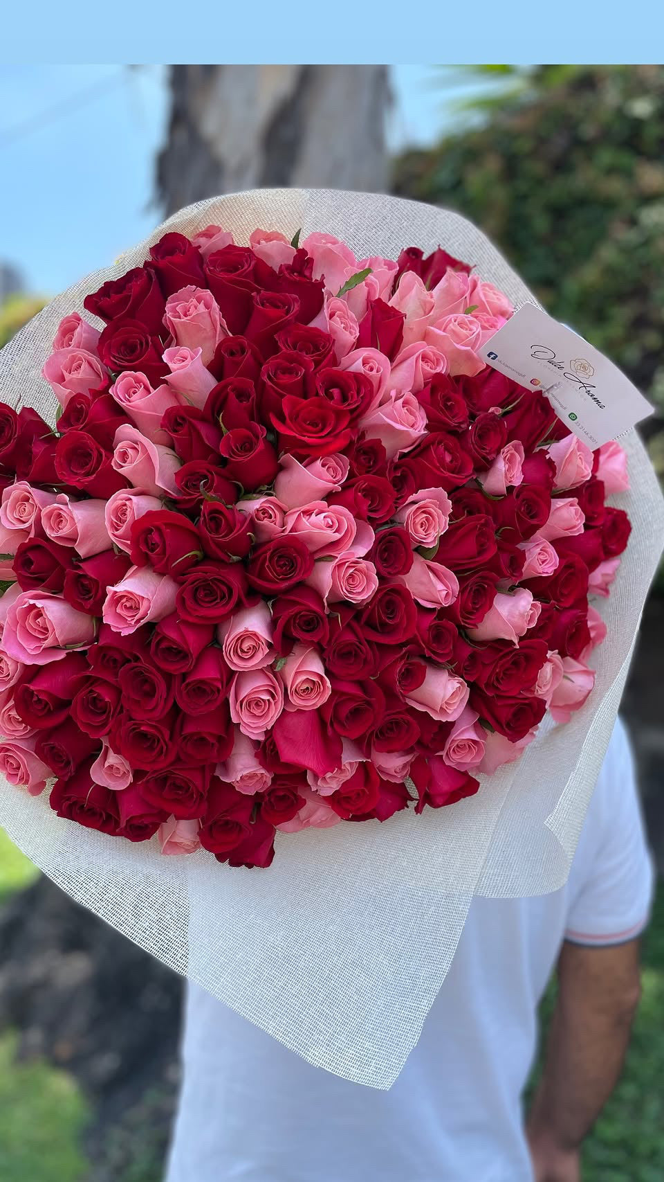 Ramo 100 rosas