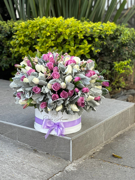 Caja Circular Minerva