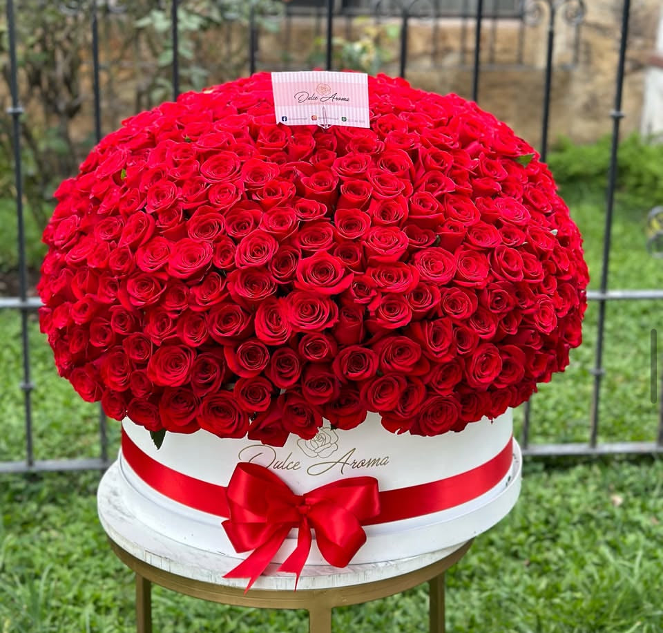 Esfera Mi Amor