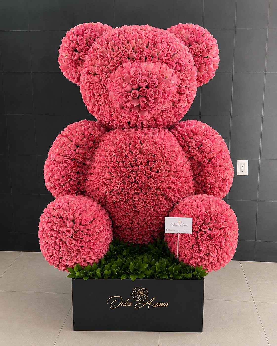 Oso 3500 rosas