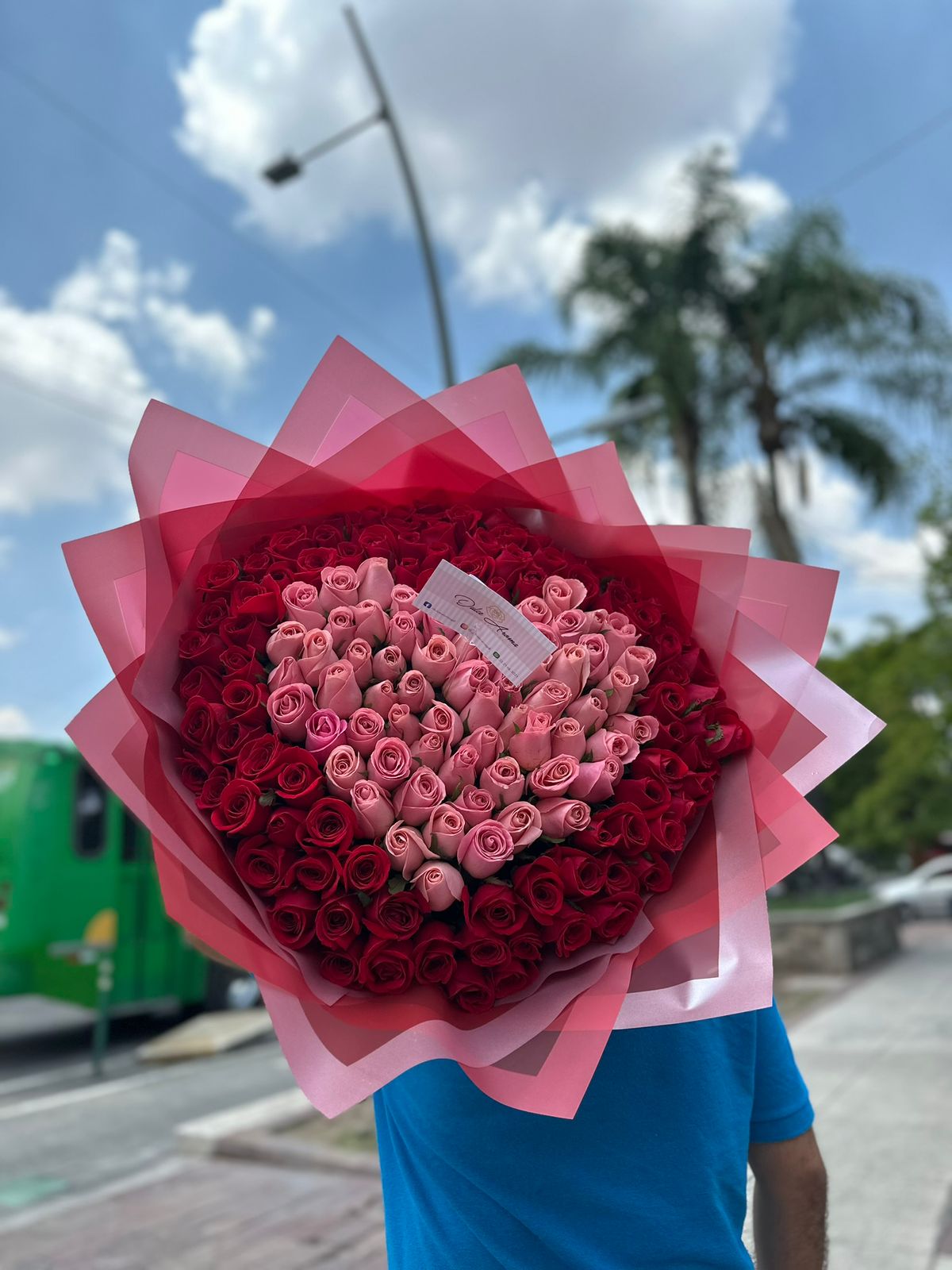 Ramo Cupido