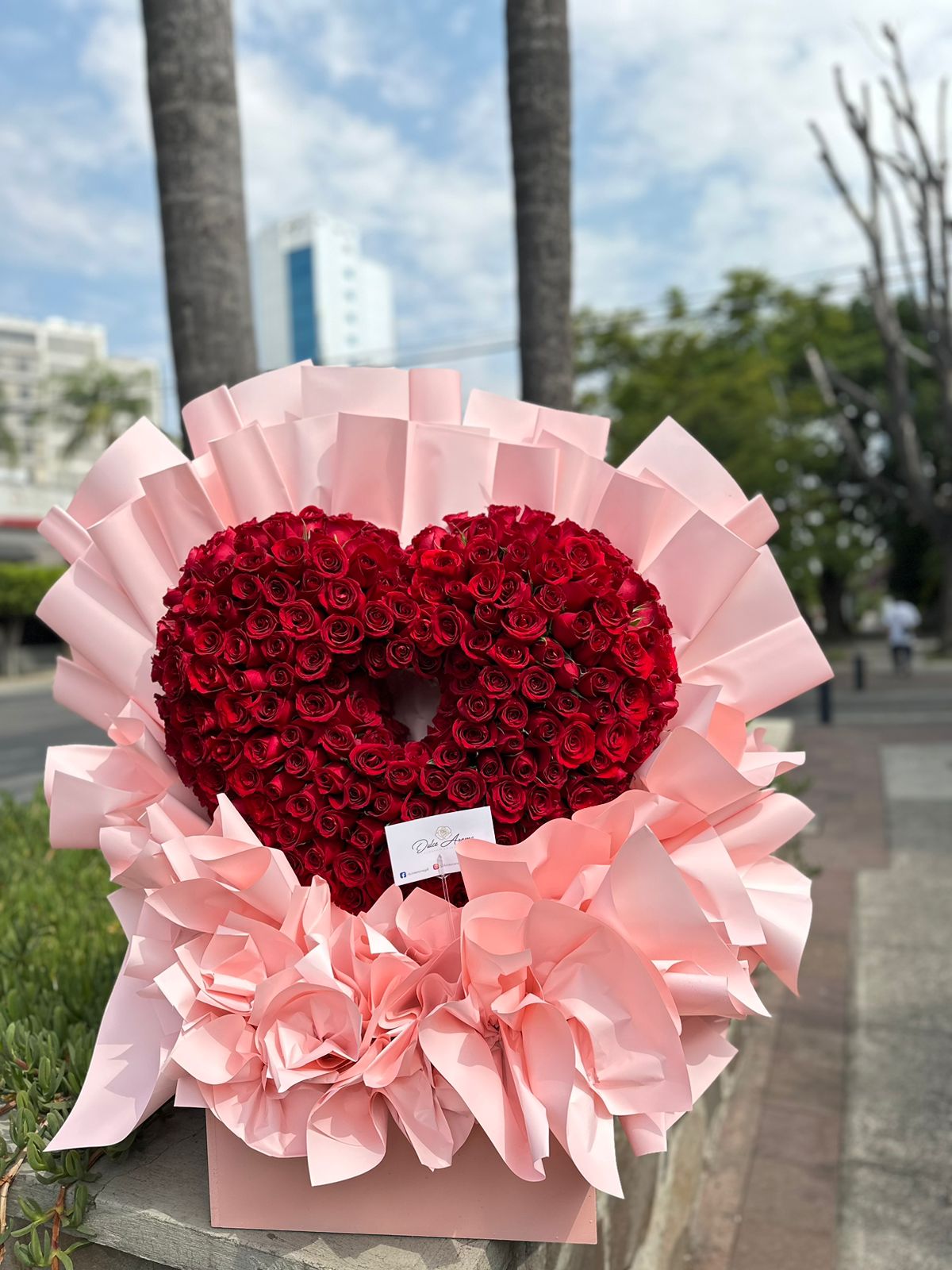 Corazón 3D