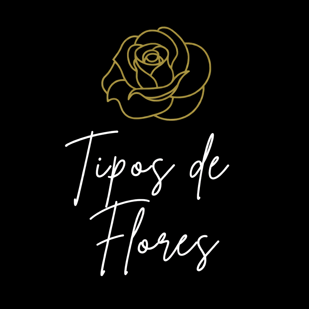 Tipos de flores