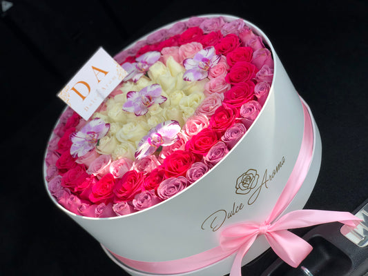 Caja Circular Arcoiris