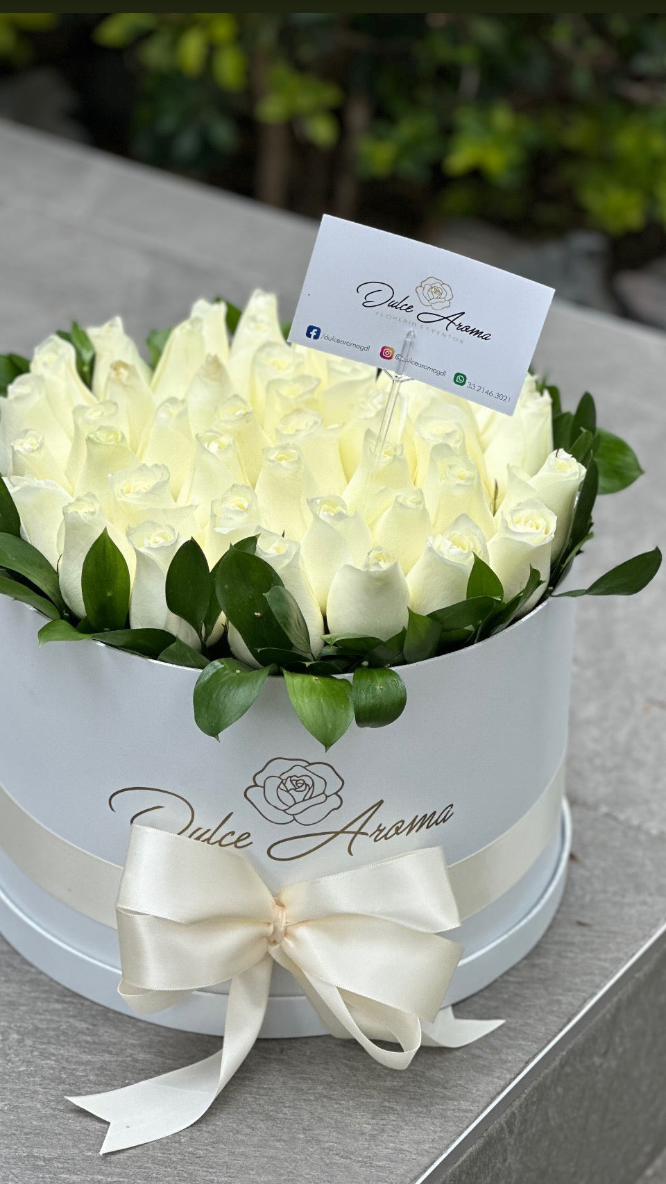 Caja circular pave