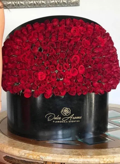 Media esfera 500 rosas
