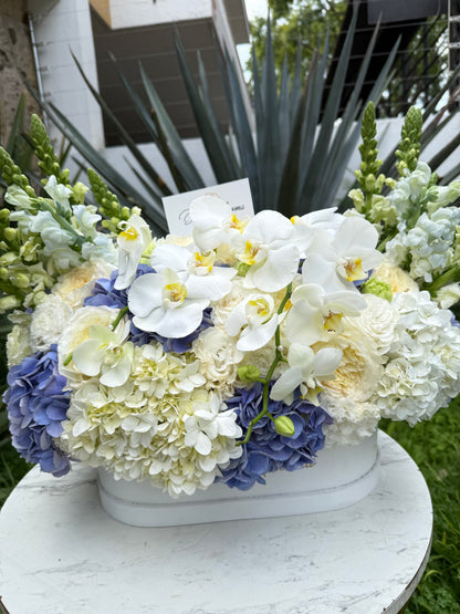 Diseño Perfecta Blue