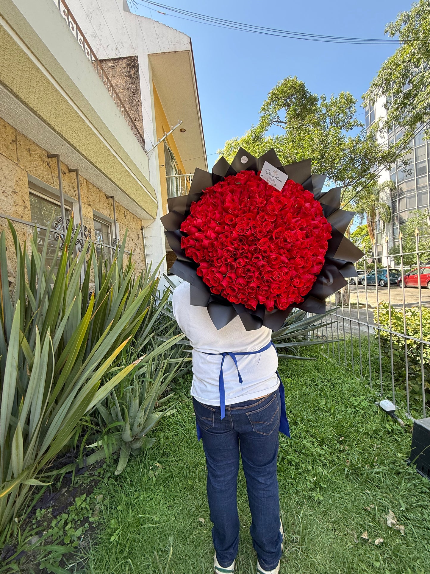 Ramo 250 rosas
