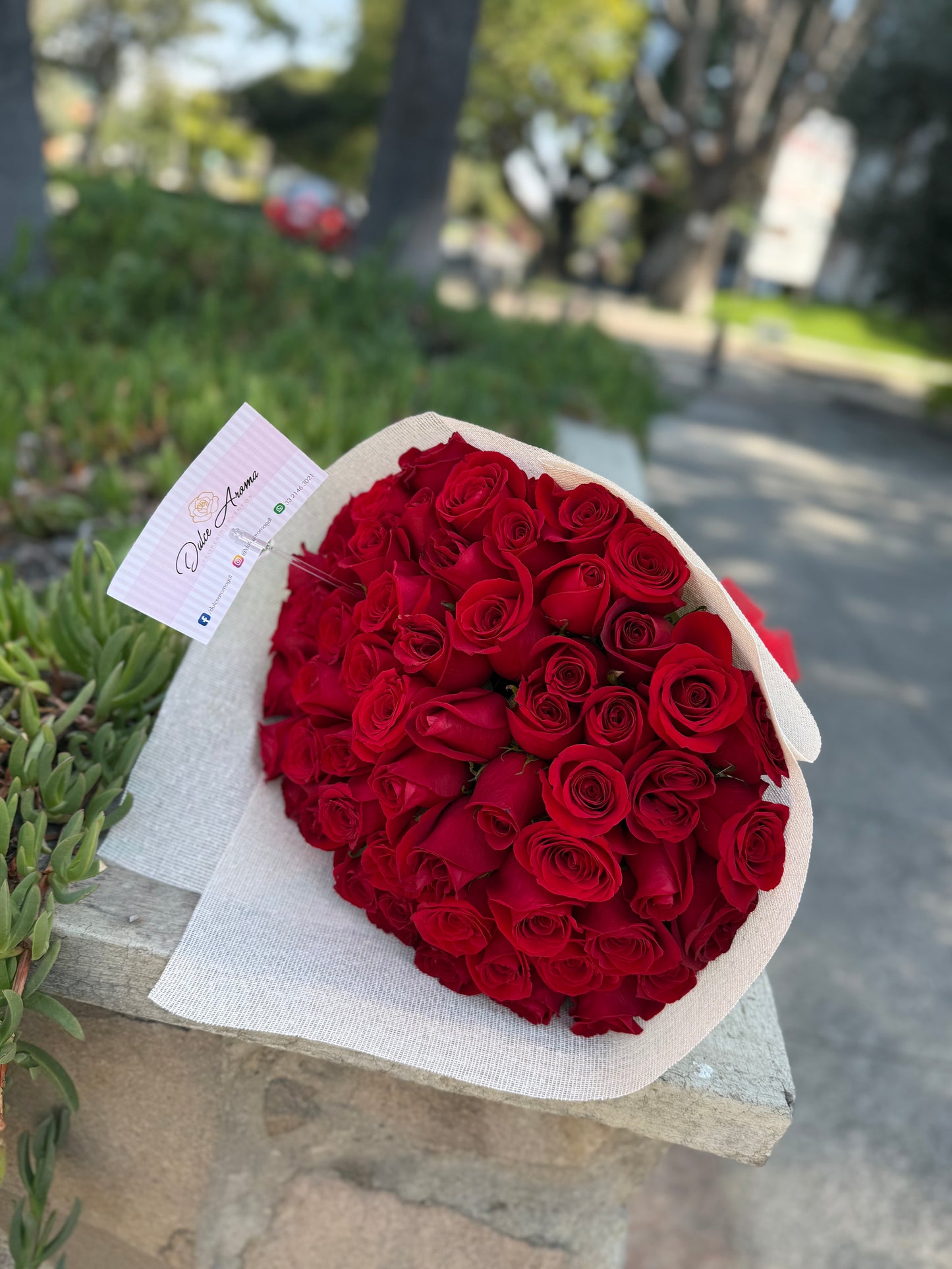 Ramo 50 rosas