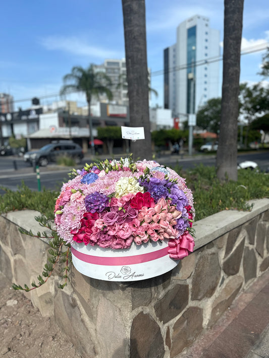 Circular Jumbo Flores Finas