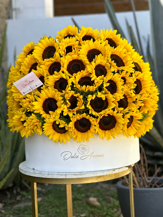 Media esfera girasoles mediana