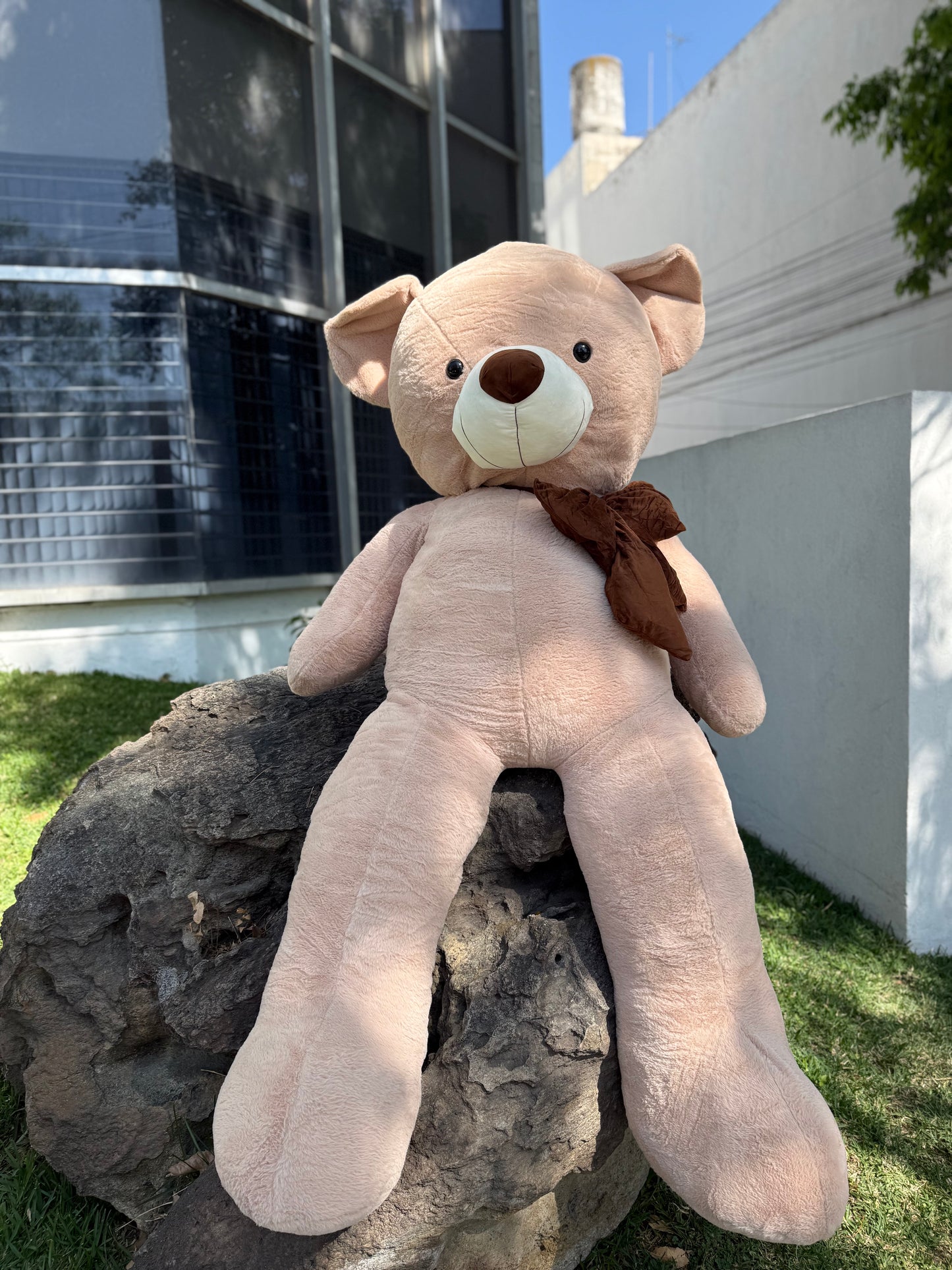 Peluche Oso Jumbo