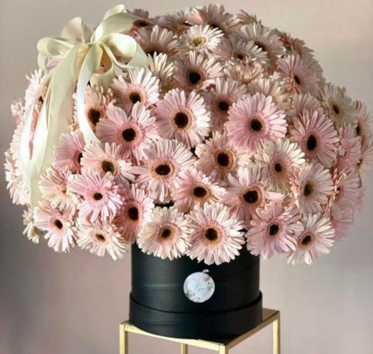 Caja Circular Gerberas