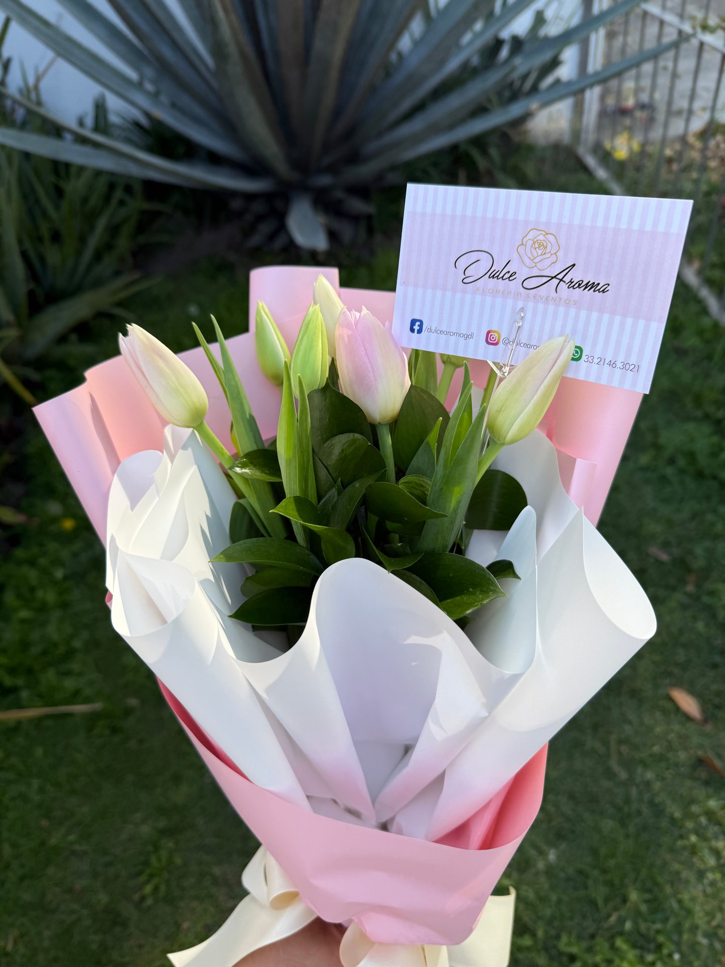 Ramo Tulipanes Rosas