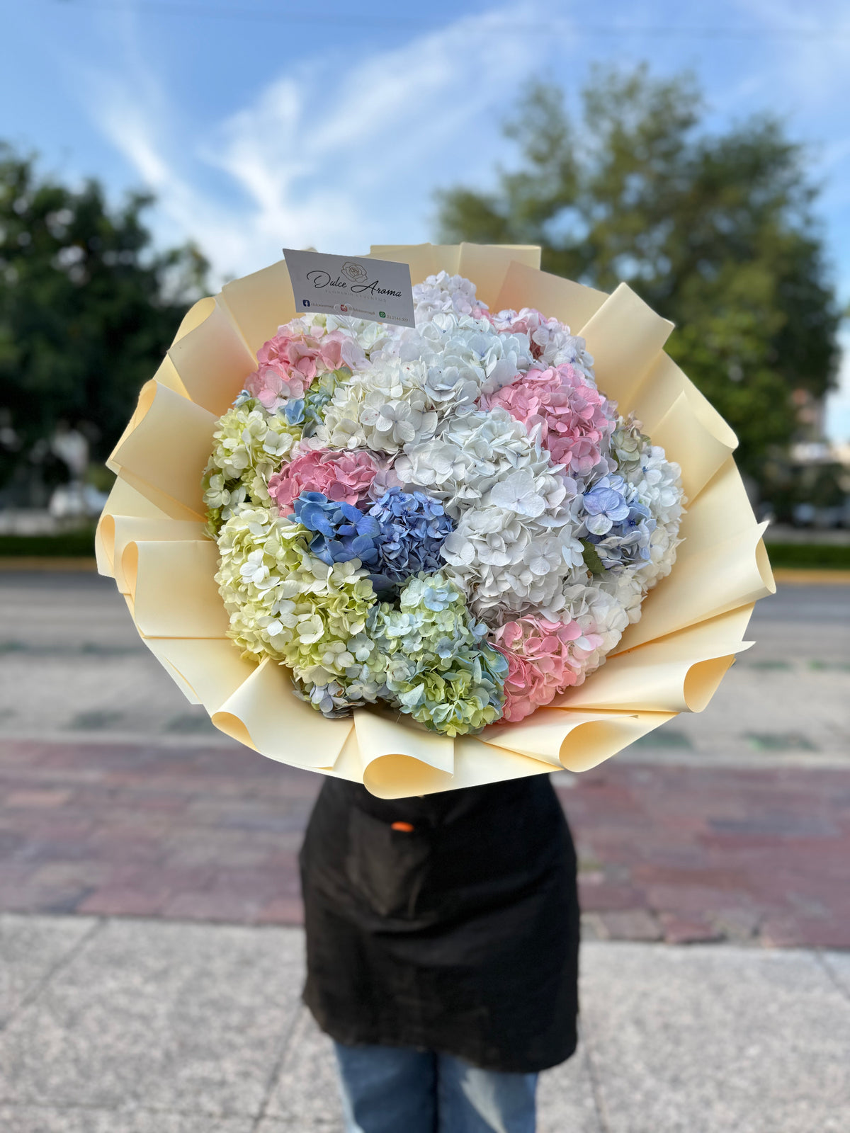 Ramo Hortensias