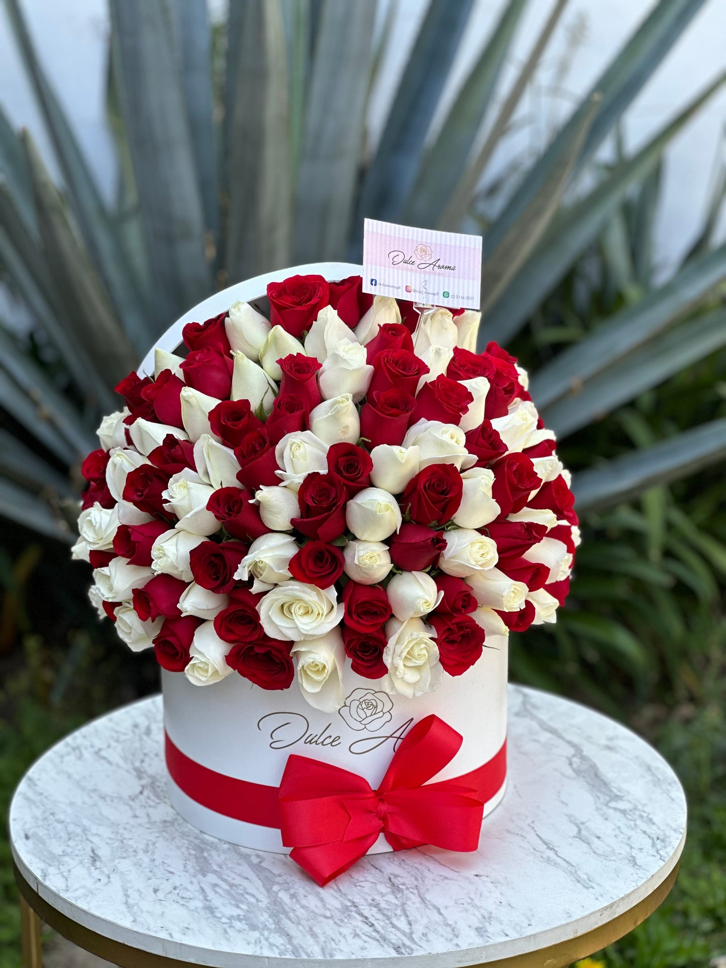 Media esfera rosas