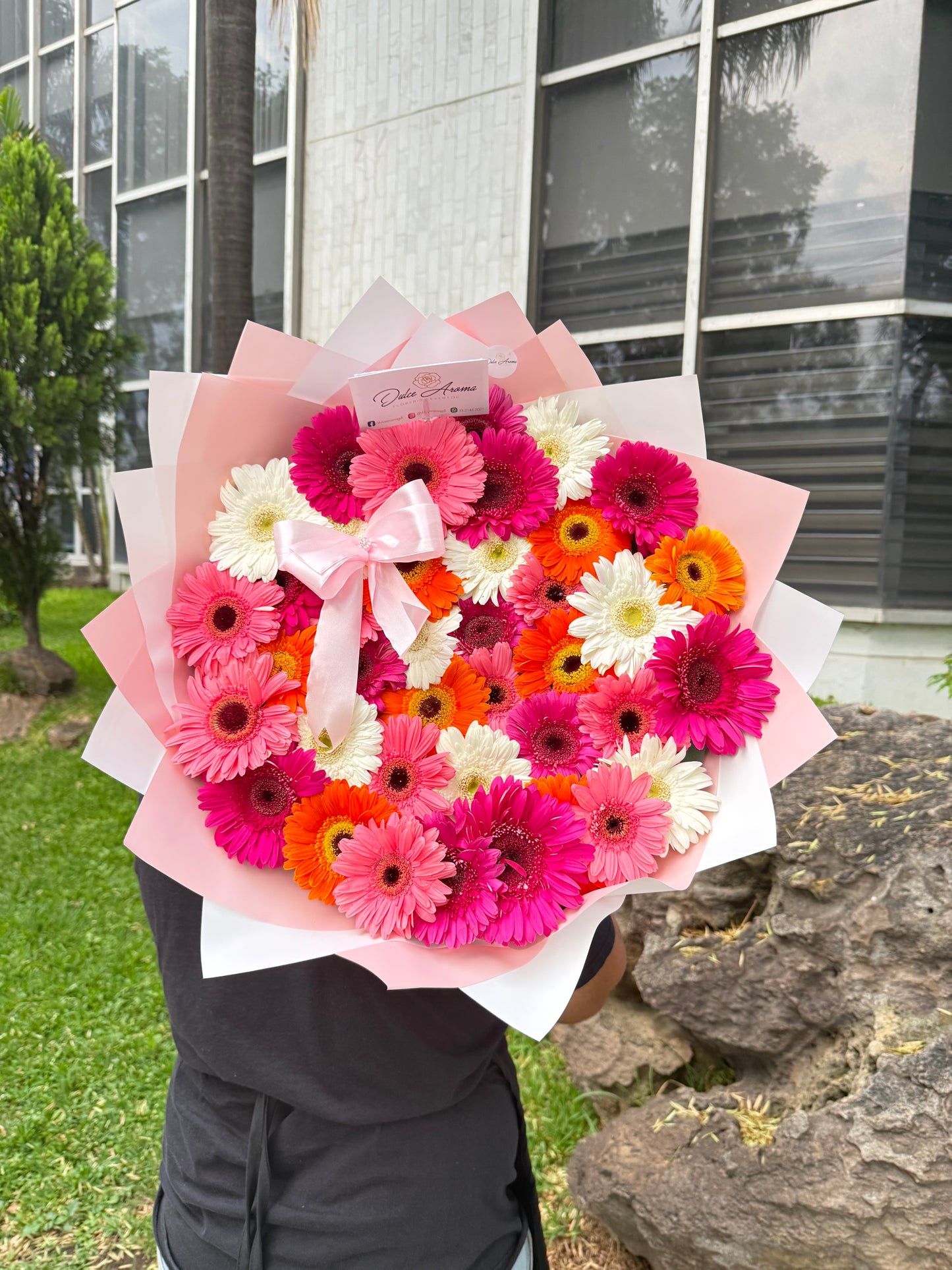 Ramo 36 gerberas