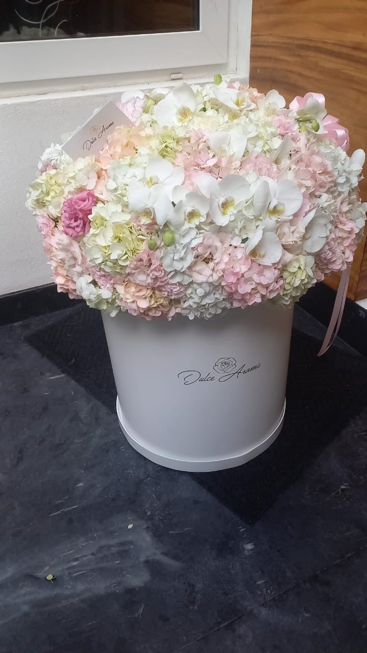 Caja Circular Jumbo Hortensias