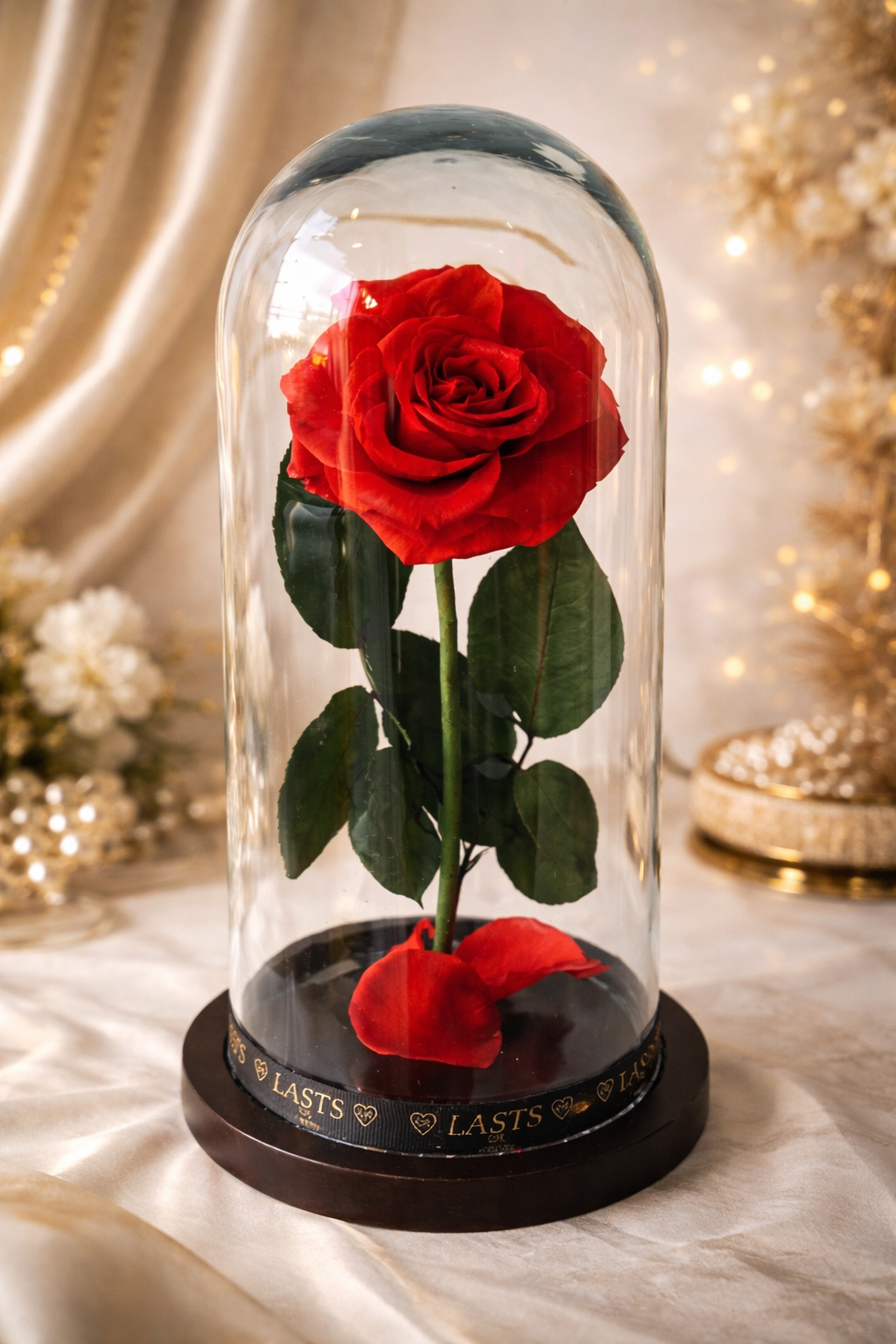 Rosa eterna mediana