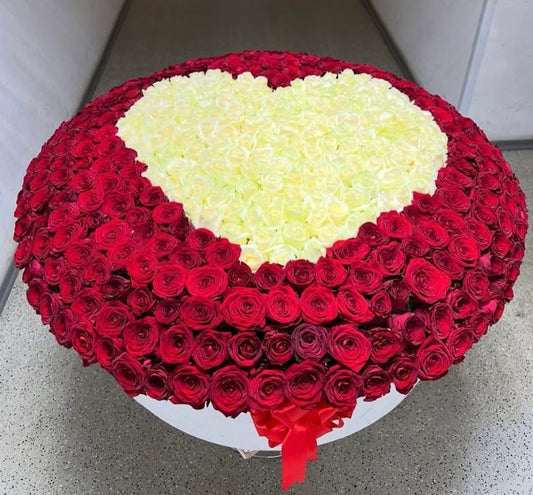 Caja Circular Gigante 600 Rosas