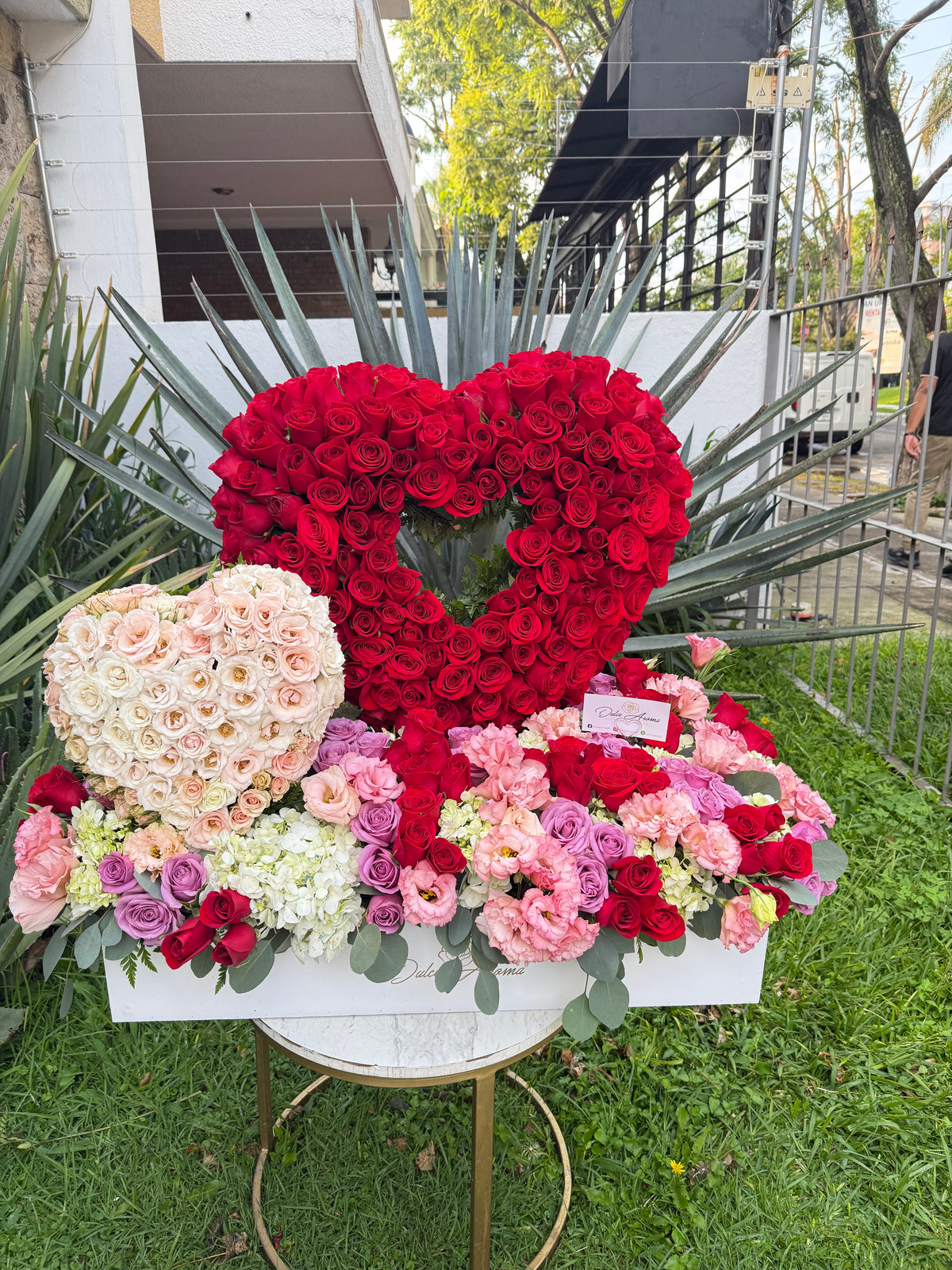 Diseño Jardín Enamorado