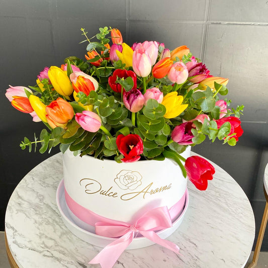 Caja Circular 50 Tulipanes