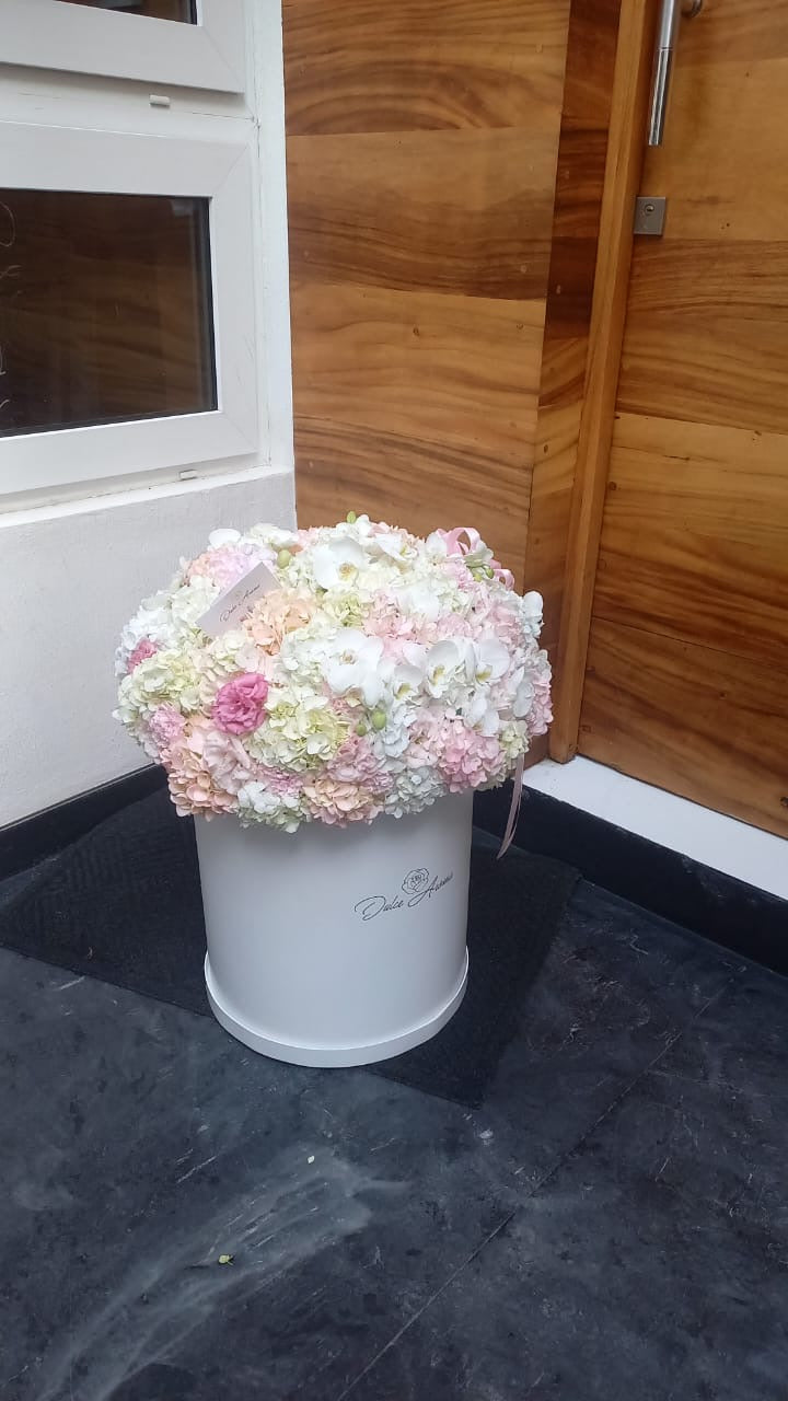 Caja Circular Jumbo Hortensias