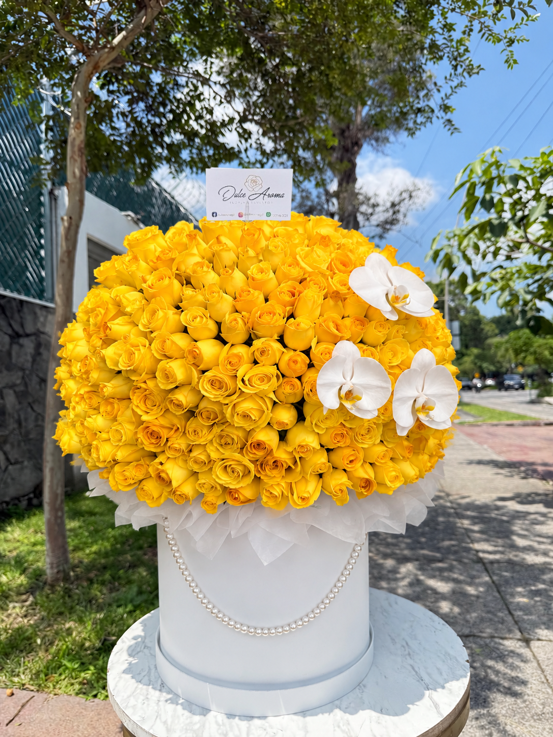 Esfera 300 Rosas y 3 Orquídeas "FLORES AMARILLAS"
