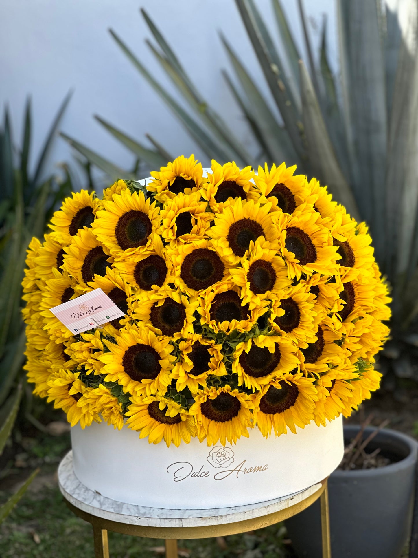 Caja Girasol