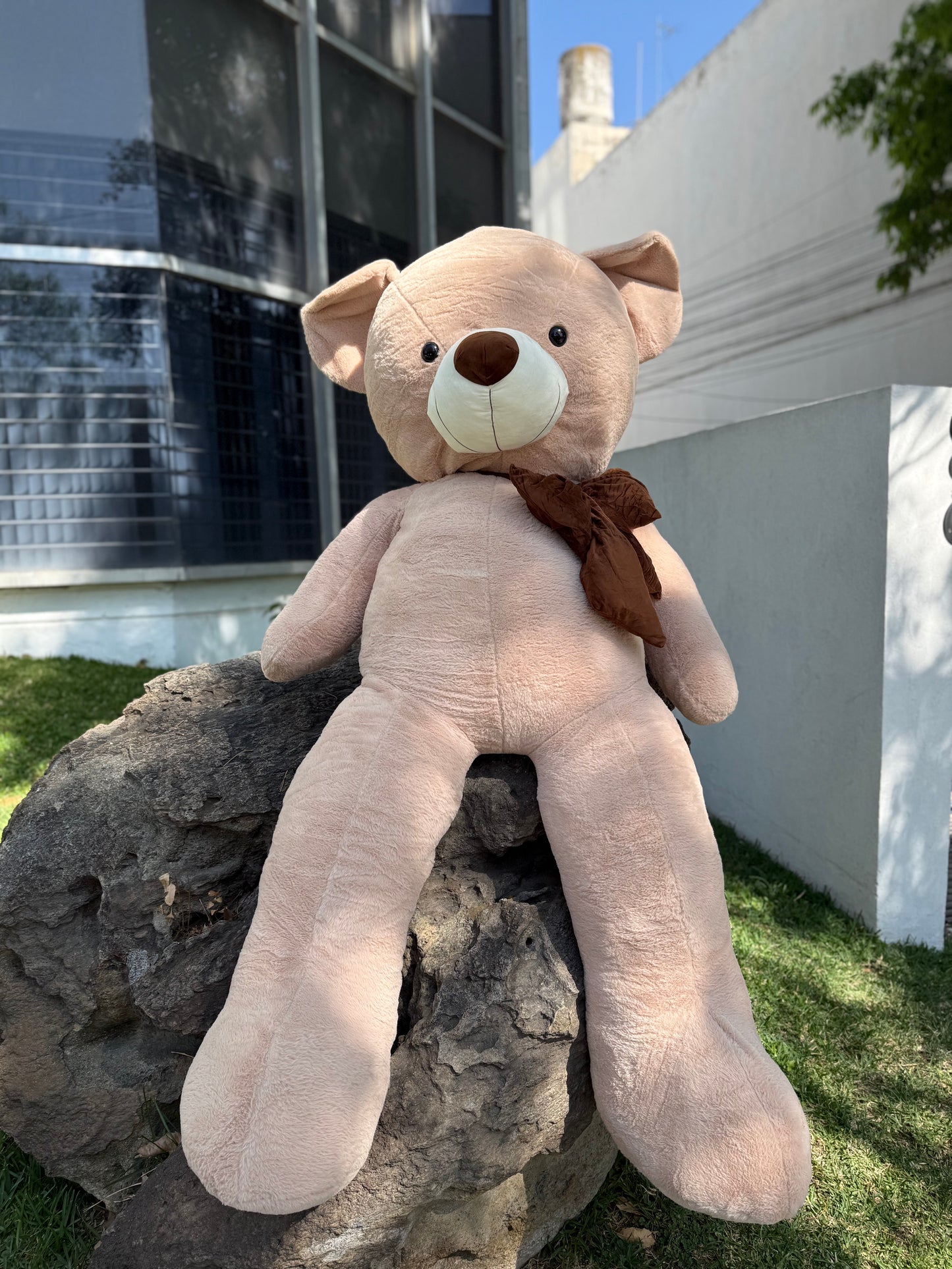 Peluche Oso Jumbo