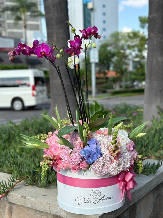 Caja Circular Esfera Cielo