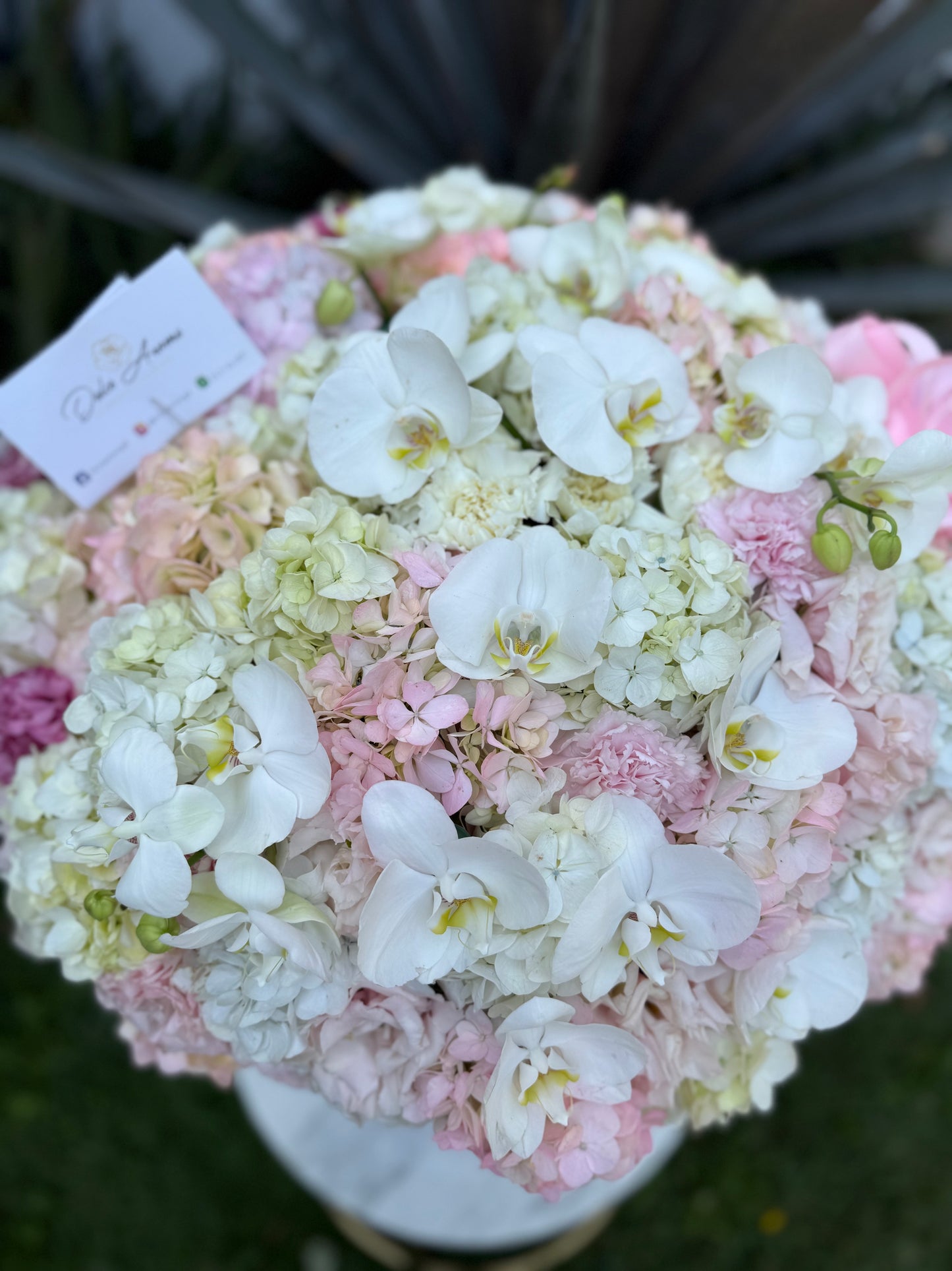 Caja Circular Jumbo Hortensias